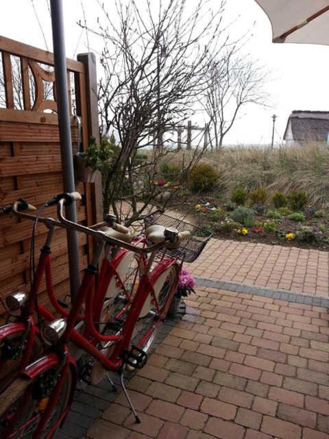 Apartment Strandhaus Buchtmitte